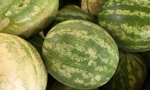 风湿腰疼是什么原因引起的-【风湿腰疼的症状有哪些症状】风湿腰疼怎么办 - 风湿腰疼的症状有哪些网